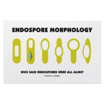 Endospore Morphology - Who Said Were All Alike? stationery
