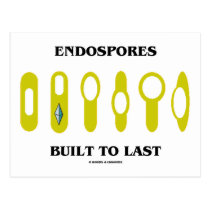 Endospores Built To Last (Bacterial Attitude) postcards
