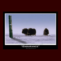 "ENDURANCE" Art Poster posters by RavenSpiritPrints "ENDURANCE" Art Poster posters