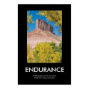 ENDURANCE posters