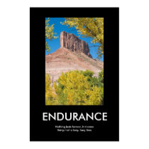 ENDURANCE posters