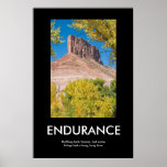 ENDURANCE posters