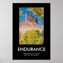 ENDURANCE PRINT