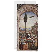 Enea Silvio Piccolomini, Also Known As Pope Pius Rack Card