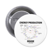 Energy Production Inside (Krebs Cycle TCAC) Button