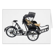 EnergyEfficientRickshaw112709 copy Greeting Cards