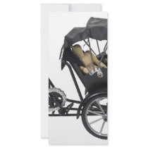 EnergyEfficientRickshaw112709 copy Customized Rack Card