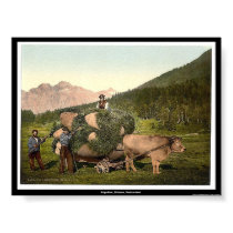 Engadine, Grisons, Switzerland posters