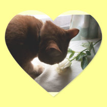 Engagement Announcement Stickers stickers