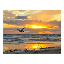Engagement Proposal Sunrise on the Beach Postcard
