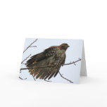 Engaging Card