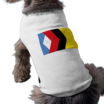 Engels , Russia pet clothing