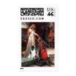 Engilsh Springer 7 - The Accolade postage