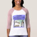 Ladies 3/4 Sleeve Raglan (Fitted)