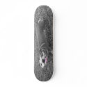 engish BULLY bulldog skateboards