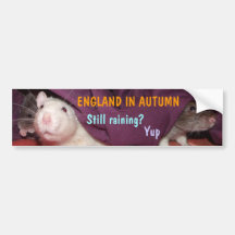England in Autumn bumper sticker