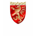 England Silky Shaded Rampant lion sheild t-shirts