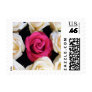 English Box Rose