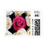 English Box Rose Stamp