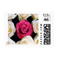 English Box Rose stamp