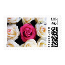 English Box Rose postage