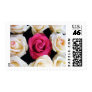 English Box Rose