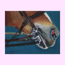 English Bridle Art Stretched Canvas Print canvas prints