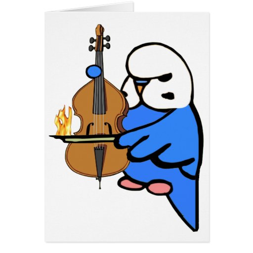 English Budgie Plays Bass Cello Cards