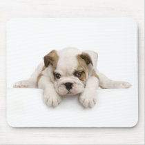 English Bull Dog Mousepad by petpupz English Bull Dog Mousepad