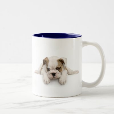 English Bull Dog Mug by petpupz