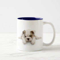 English Bull Dog Mug by petpupz English Bull Dog Mug