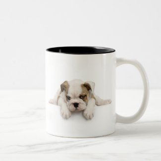 English Bull Dog Mug mug