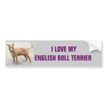 English Bull Terrier Bumper Sticker