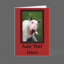 English Bull Terrier