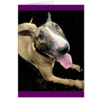 English Bull Terrier Card