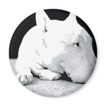 English Bull Terrier, Pop Art Print Refrigerator Magnet