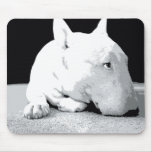 English Bull Terrier, Pop Art Print Mouse Mats