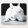English Bull Terrier, Pop Art Print Mouse Mats
