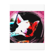 english bull terrier postcard