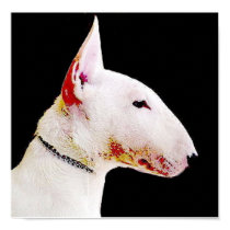 English bull terrier poster posters by ritmoboxer English bull terrier poster posters