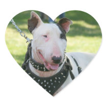 English bull terrier stickers