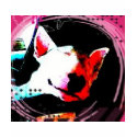 english bull terrier t-shirts