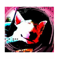 english bull terrier t-shirts by inakiss english bull terrier t-shirts