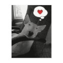 english bull terrier valentine postcards