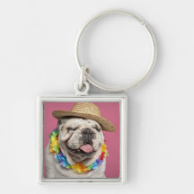 English Bulldog (18 months old) wearing a straw Keychain