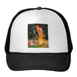 English Bulldog 1 - MidEve Hat