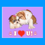 English Bulldog and Shih Tzu I LOVE YOU Cards postcards