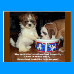 English Bulldog and Shih Tzu Puppy postcards