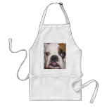 english bulldog aprons
