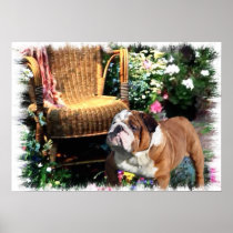 English Bulldog Art Prints
